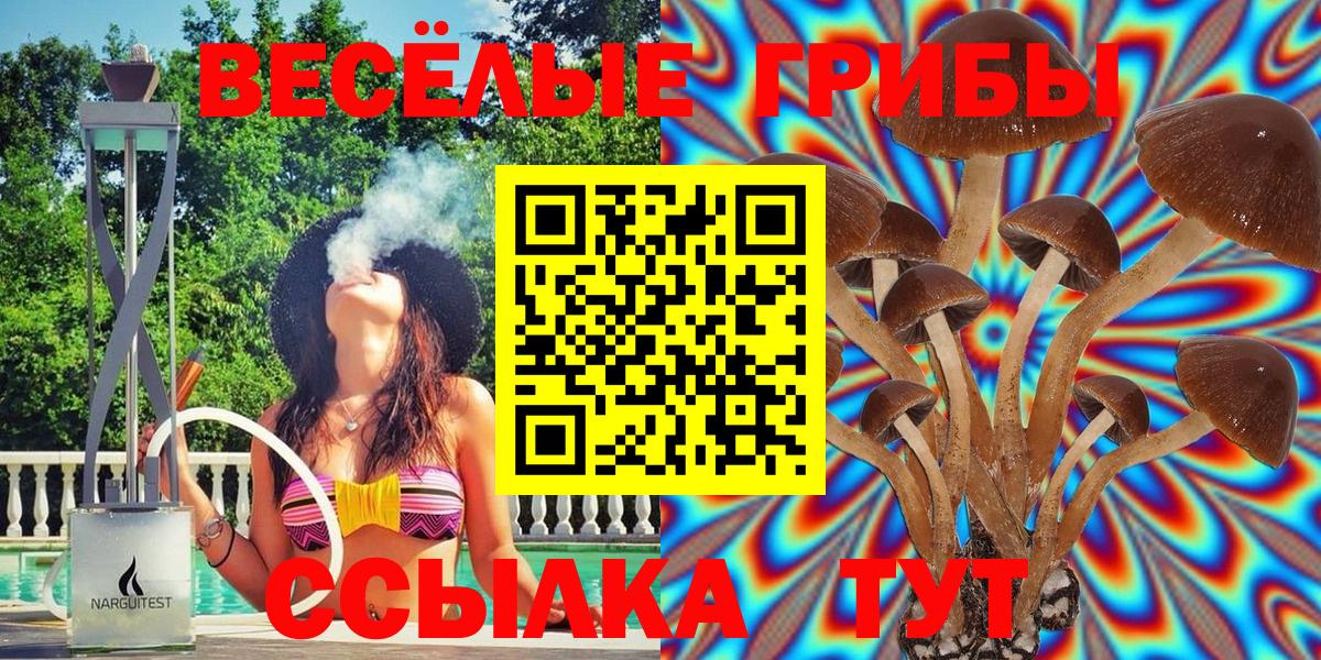 Псилоцибиновые грибы мухоморы  Псилоцибиновые грибы MAGIC MUSHROOMS  Дивногорск  Вход с VPN 